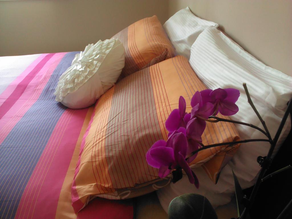 Guesthouse Emma Zadar Dış mekan fotoğraf