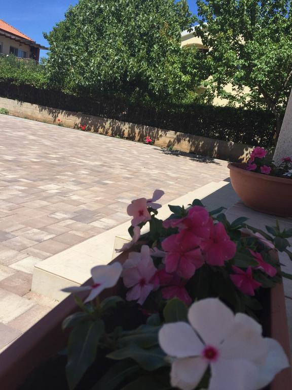 Guesthouse Emma Zadar Dış mekan fotoğraf